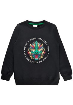 The New Ingvald sweatshirt - Black Beauty